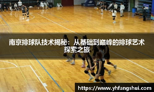 南京排球队技术揭秘：从基础到巅峰的排球艺术探索之旅
